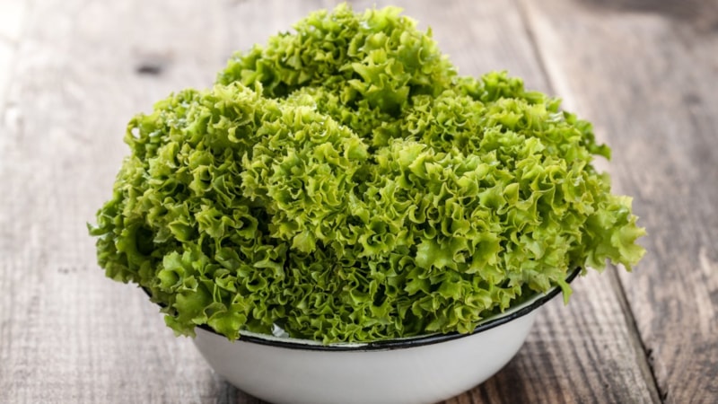 Konut, otobüs bileti de listede! Haziran ayının zam şampiyonu kıvırcık salata oldu