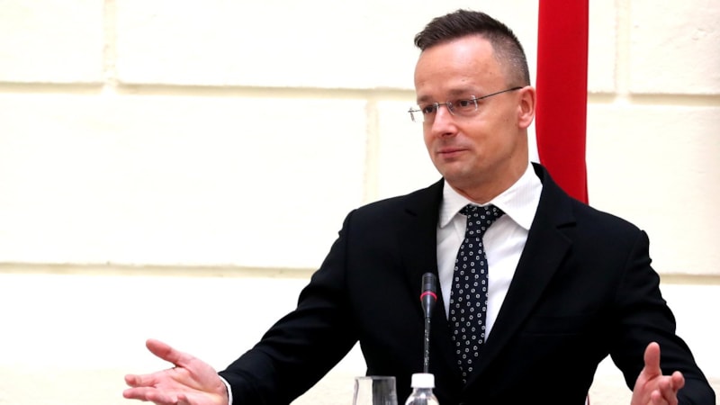 Macaristan'dan İsveç kararı: NATO üyeliği konusunda Türkiye ile hareket edeceğiz