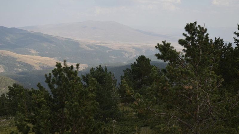Erzurum'da ormanlık alanlara girişler yasaklandı