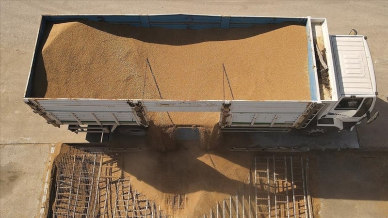 TMO üreticinin tüm ürünlerini alacağını hatırlattı