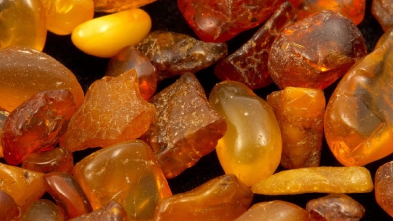 Kehribar taşı nedir, ne işe yarar? Kehribar taşının faydaları nelerdir?