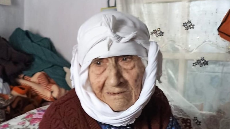 Denizli'de 119 yaşındaki asırlık çınar hayatını kaybetti