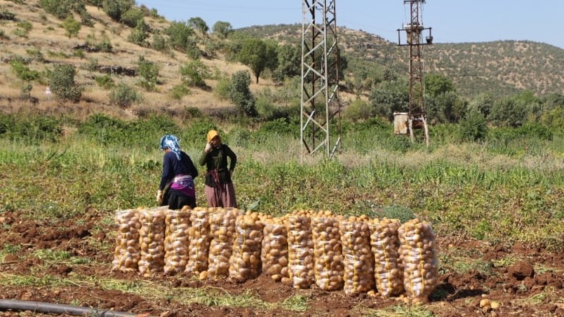 Mardin'de sıcak mesai saatlerini değiştiriyor