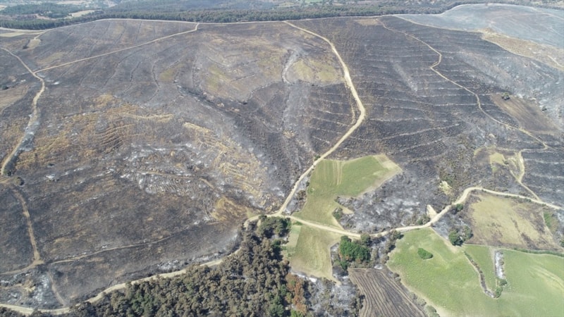 İbrahim Yumaklı: 10 günde 40 ilde 203 orman yangını meydana geldi