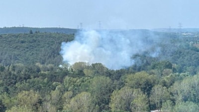 Kemerburgaz Ormanı'nda yangın çıktı