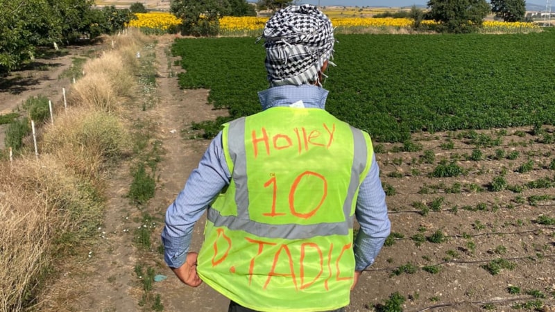 İşçi yeleğinden Tadic forması yapan taraftar