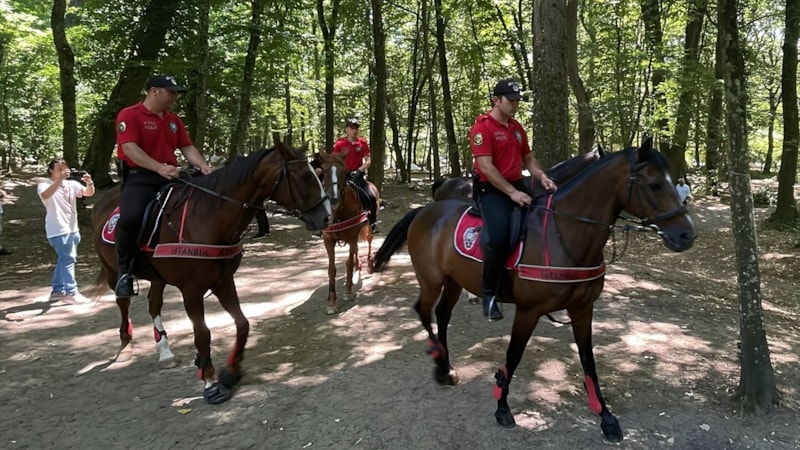 Ekipler harekete geçti! Belgrad Ormanı'na gelenler yangınlara karşı denetlendi