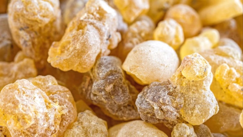 Sandaloz sakızı nedir, nasıl kullanılır? Sandaloz sakızı-elma sirkesi faydaları nelerdir?