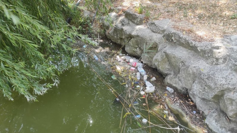 CHP'li Bakırköy Belediyesi'nin açtığı botanik parkın bakımsızlığı tepki çekiyor