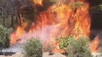Milas yangınında sabotaj şüphesi: Yangının çıkış anı kamerada
