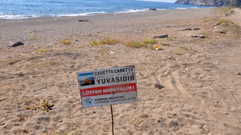 Antalya'da caretta caretta yuvası üzerinde mangal yaktılar