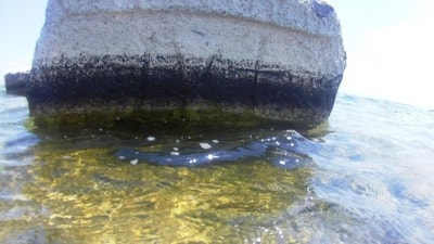 Van Gölü'nde Kayı tamgalı ve haç işaretli taşlar bulundu