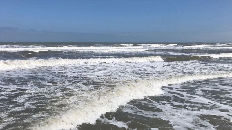 Upwelling nedir, neden olur? Karadeniz merak etti!