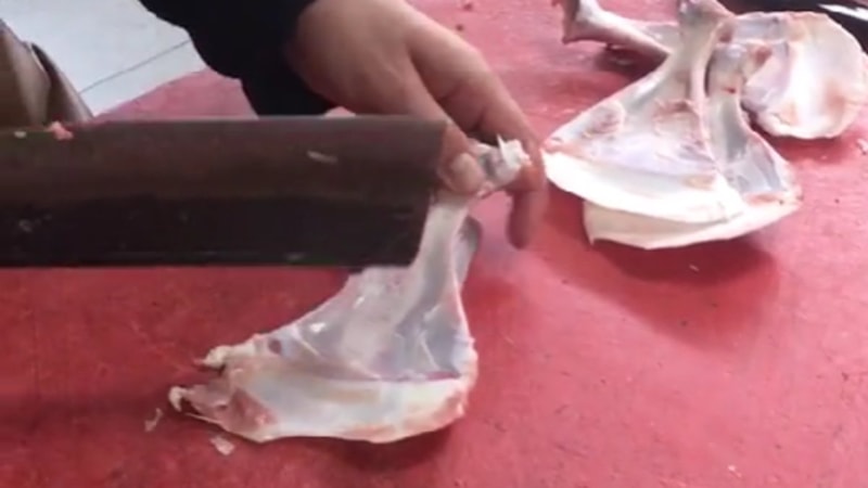 Kasaplar bu kemiği kırmadan atmıyor! Nedeni tüyler ürpertti...