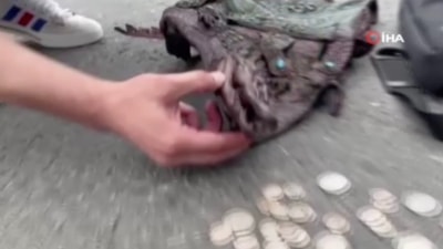 İstanbul'da jandarma tarihi eser kaçakçılarına operasyon düzenledi