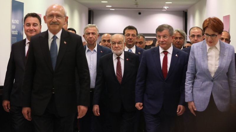 İsviçre'den Türkiye'deki muhalefete akıl: Erdoğan karşısında tek şansınız yeniden birlik olmak