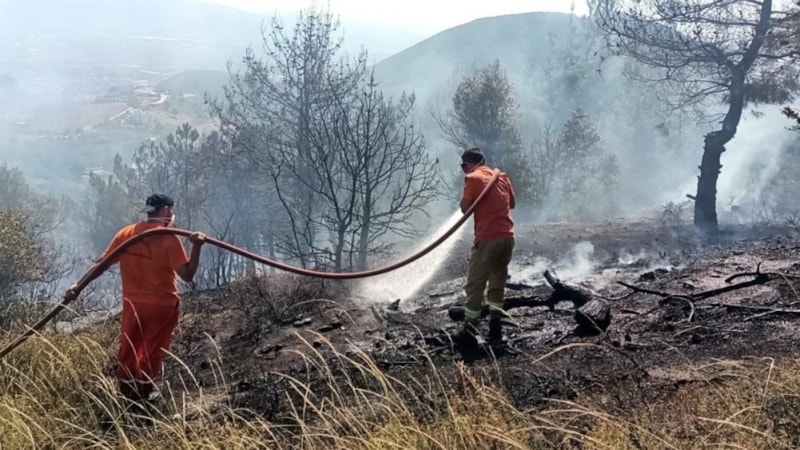 Sakarya'da arazi yangını! 8 dönüm alan kül oldu