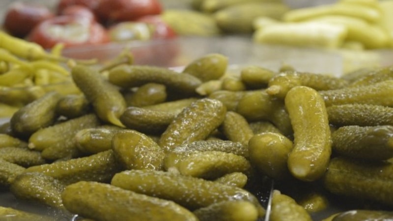 Şifalı kornişon! Her gün salatalık turşusu yemenin mucize faydaları..