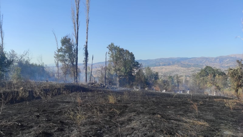 Çorum'da yaklaşık 100 dönüm üzüm ve ceviz bahçesi yandı
