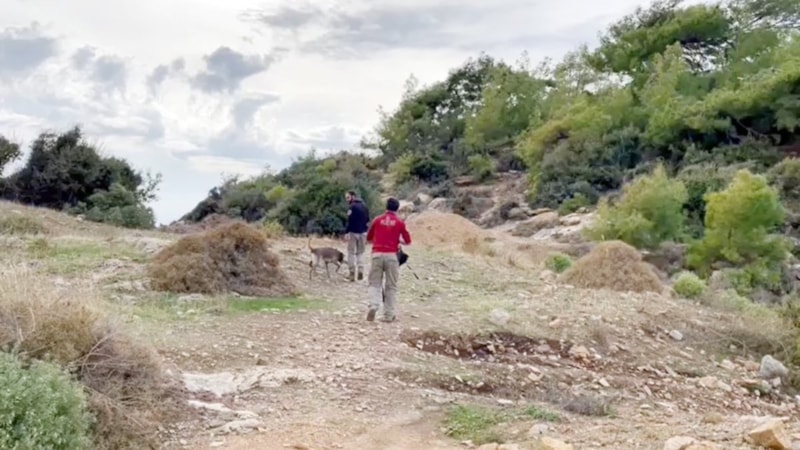 Antalya'da 275 gün önce kaybolan genç kızdan haber alınamadı