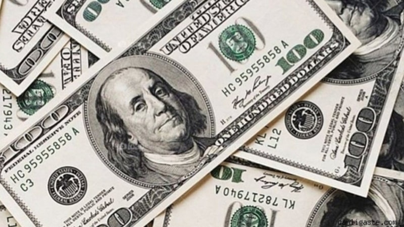 Dolar kaç TL? Euro kaç TL? (28.08.2023)