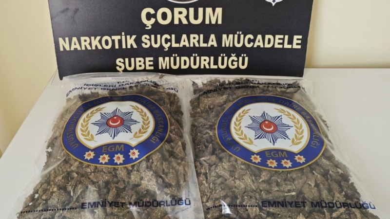Çorum'da uyuşturucu operasyonu! Bin 80 gram skunk maddesi yakalandı