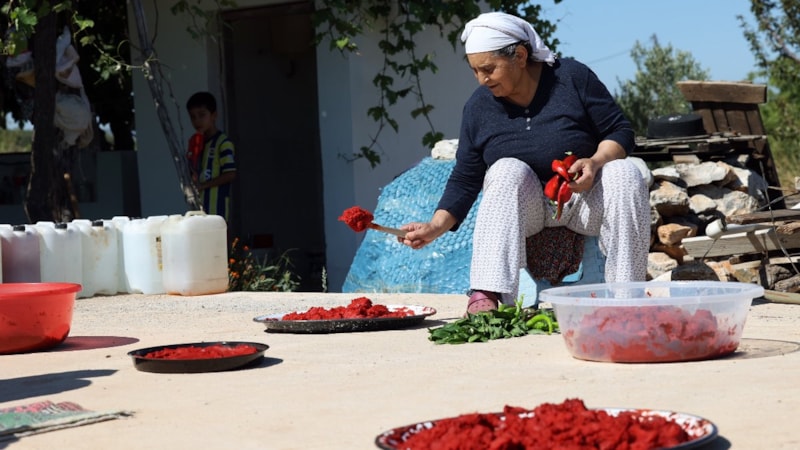 Muğlalı kadınların organik salça yapım telaşı başladı