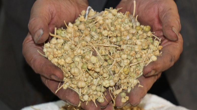 Üzerlik yakın, dumanı evde gezdirin! Kem gözleri bir bir söndürecek...