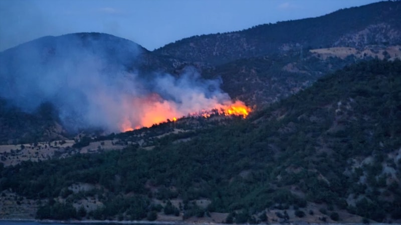 Çorum'da ormanlık alanda yangın çıktı: Müdahale sürüyor