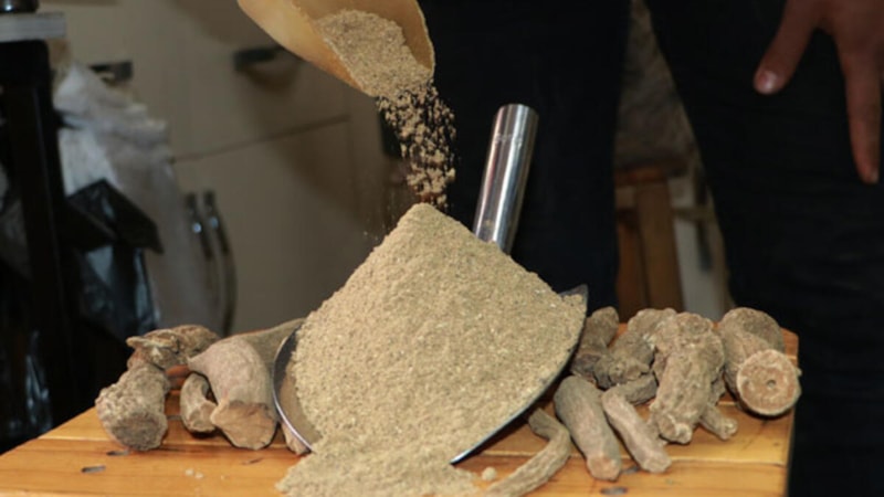 Doğal Antibiyotik Gücünde, Kozmetikten Kanser Tedavisine: Udi Hindi ve Balın Müthiş Etkisi