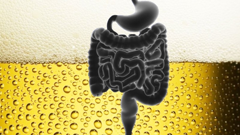 Vücudu Alkol Üreten İnsanlar: Auto-Brewery Sendromu Türkiye'de Görüldü!