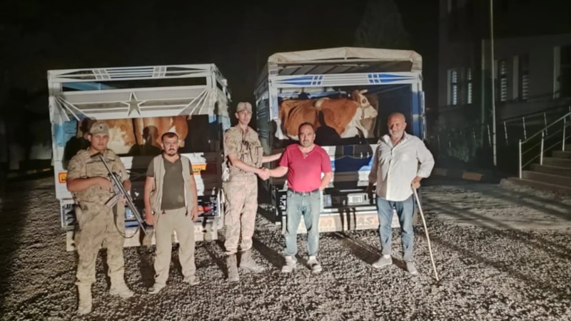 Siirt'te bir hırsız çaldığı büyükbaş hayvanları satmaya çalışırken yakalandı