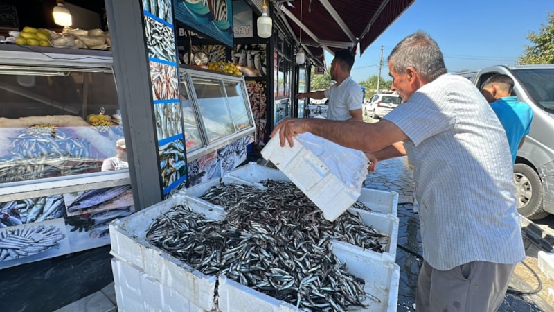 Düzce'de hamsi 20 TL'ye düştü
