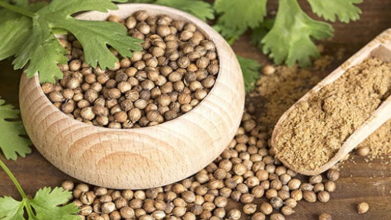 Bir kaşığı bile cinsel isteksizliği ortadan kaldırıyor! Kişnişin faydaları saymakla bitmiyor..