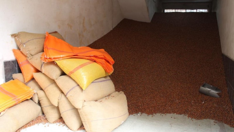 Serbest piyasada fındık fiyatı 100 TL oldu