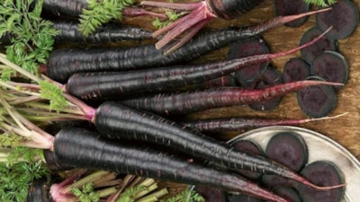 İçen doktor yüzü görmüyor! Siyah havuç suyunun faydaları şaşırtıyor