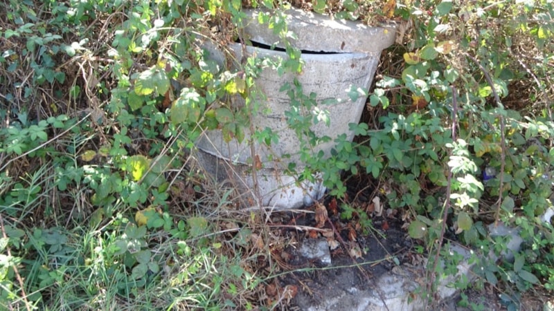 İstanbul'da sokağa dökülen maddeden yayılan koku paniğe neden oldu