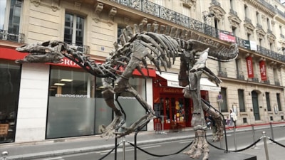 Fransa'da 150 milyon yıllık dinozor iskeleti açık artırmayla satılacak