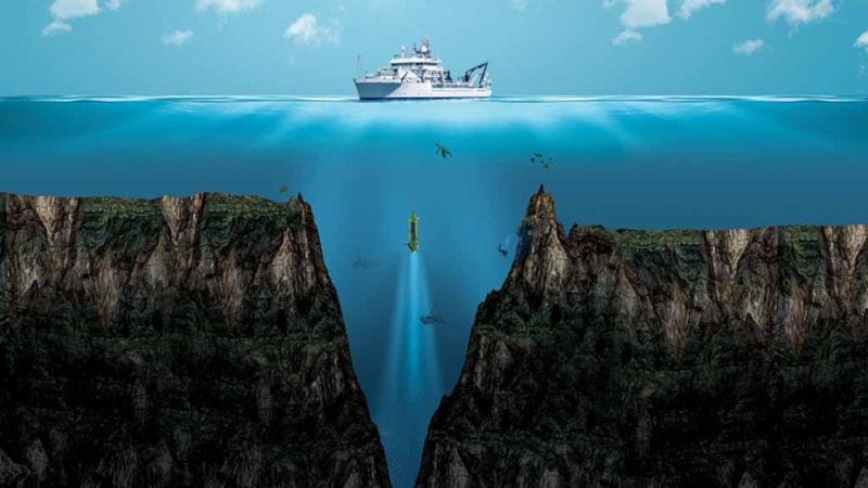 Çin'deki araştırmacılar, dünyanın en derin okyanus çukurunun dibinde gizlenen yeni bir virüs keşfetti