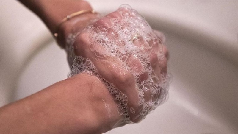 Yarayı hemen yıkayın! Kuduz şüphesinde neler yapılmalı