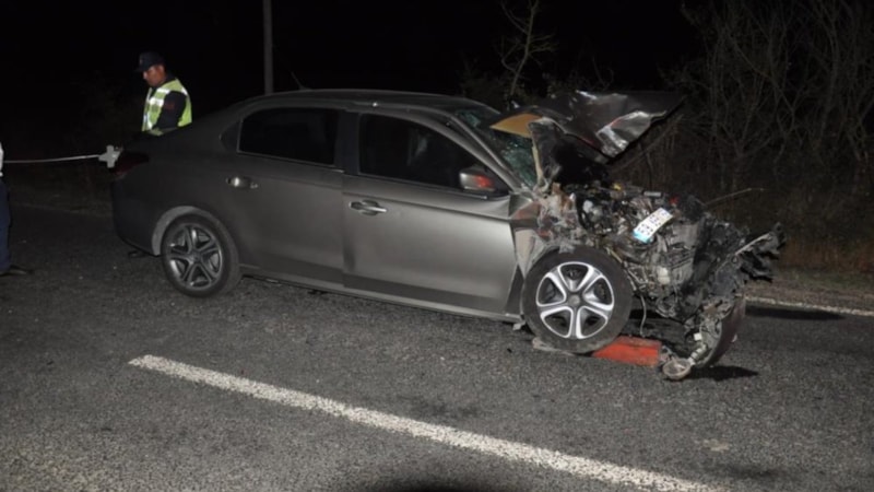 Tekirdağ'da otomobil domuz sürüsüne çarptı: 1'i ağır 2 yaralı