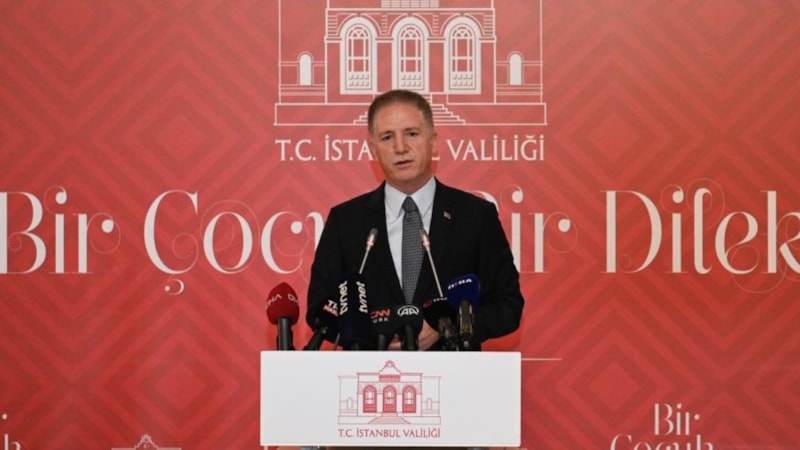 Davut Gül: Sokak köpeği sorunu İstanbul'un gündeminden kalkacak