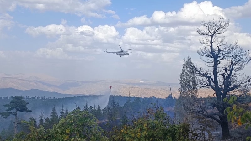 Konya'da orman yangını! Alevlere müdahale ediliyor