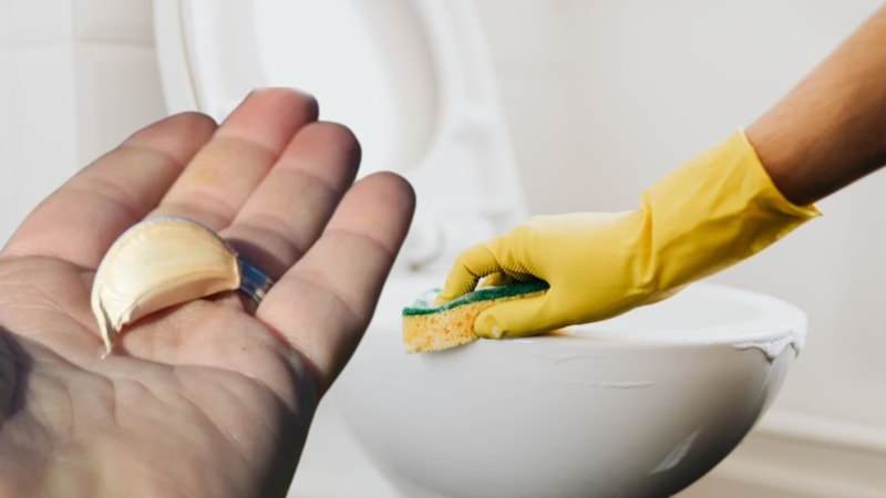 Gece boyunca klozete bir diş sarımsak koyun, mucizeye tanık olun!