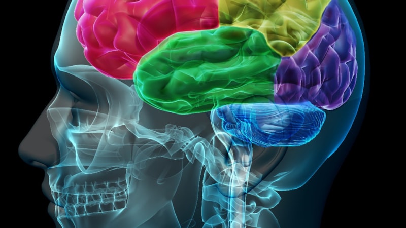 Bu 10 özelliği taşıyorsanız: Üstün zekalısınız! İşte üstün zekalıların fark yaratan özellikleri