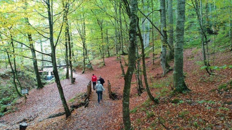 Milli parklar ile tabiat parklarına 8 ayda 46 milyon ziyaretçi