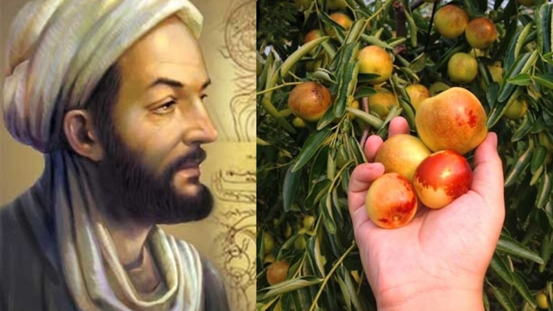 İbn-i Sina’nın ölümsüzlük meyvesi: 1 avuç tüketmek yetiyor! Kalp krizinden bel fıtığına...