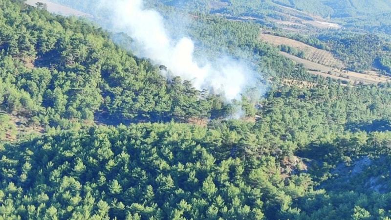 Çanakkale'de orman yangını! Ekipler havadan ve karadan müdahale ediyor