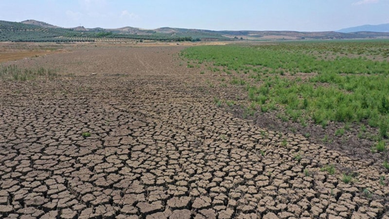 Ege Bölgesi'nde sıcaklıklar 10 yılda 2 derece artacak