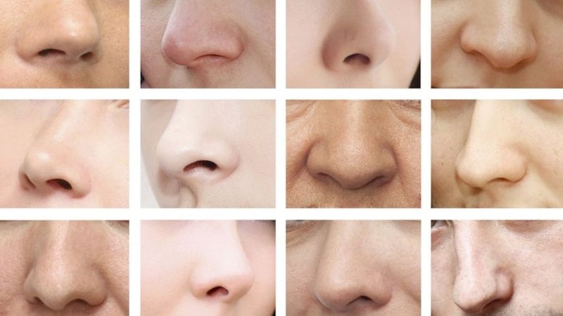 Bana burnunu göster sana kim olduğunu söyleyeyim! Karşınızdaki insanı burun şekline göre tanımak mümkün...